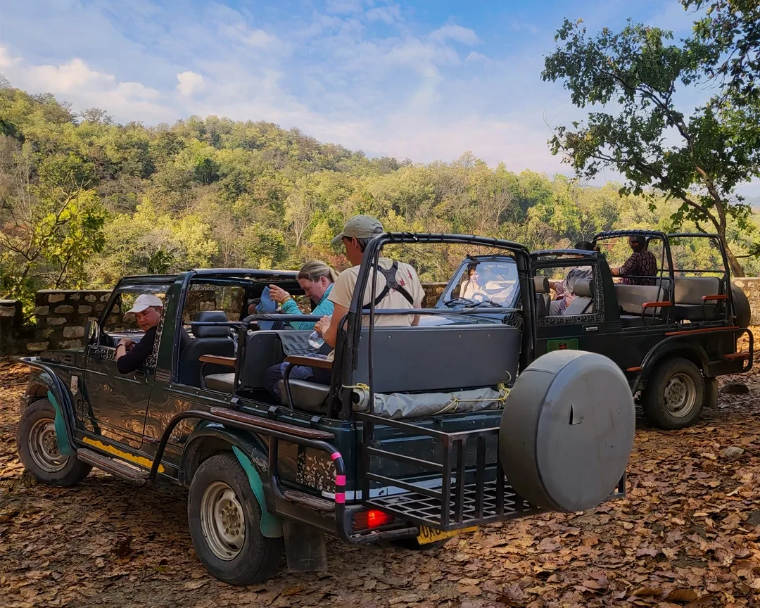 An open jeep safari in Bandhavgarh National Park