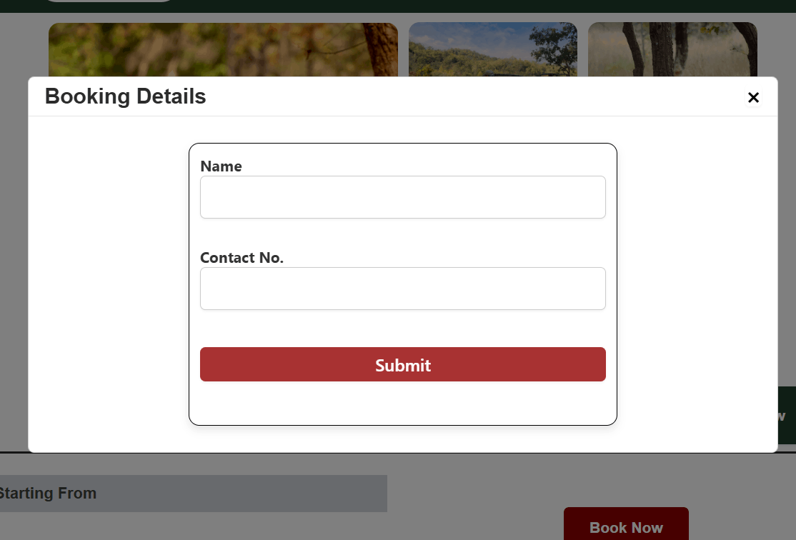 The booking details form window